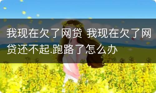 我现在欠了网贷 我现在欠了网贷还不起.跑路了怎么办