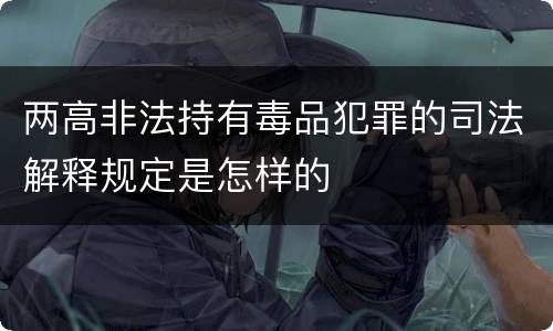 两高非法持有毒品犯罪的司法解释规定是怎样的