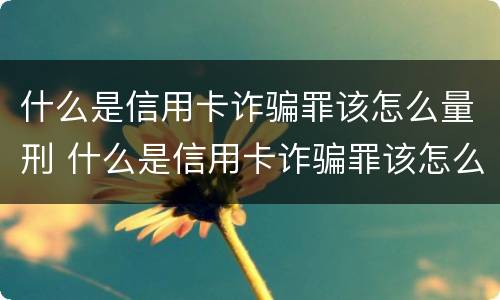 什么是信用卡诈骗罪该怎么量刑 什么是信用卡诈骗罪该怎么量刑呢