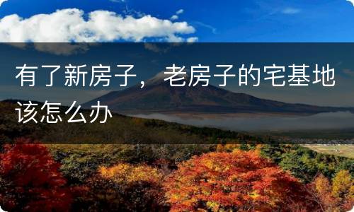 有了新房子，老房子的宅基地该怎么办