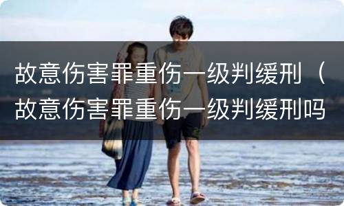 故意伤害罪重伤一级判缓刑（故意伤害罪重伤一级判缓刑吗）