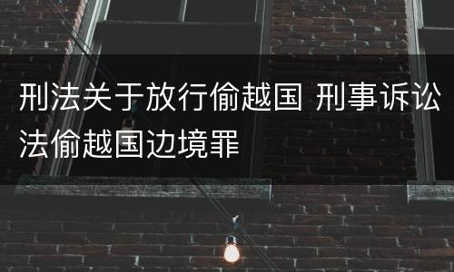 刑法关于放行偷越国 刑事诉讼法偷越国边境罪