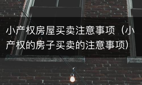 小产权房屋买卖注意事项（小产权的房子买卖的注意事项）