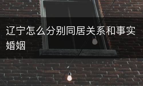 辽宁怎么分别同居关系和事实婚姻