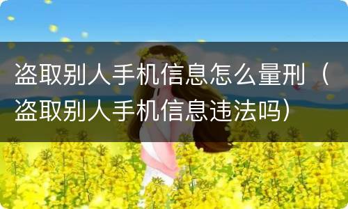 盗取别人手机信息怎么量刑（盗取别人手机信息违法吗）