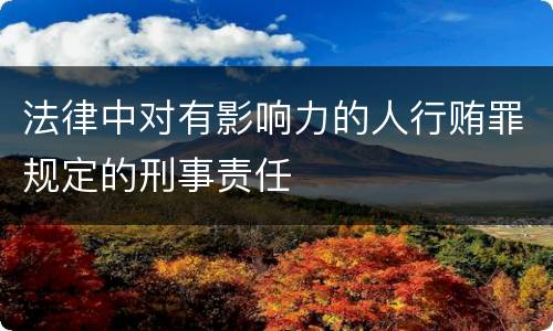法律中对有影响力的人行贿罪规定的刑事责任