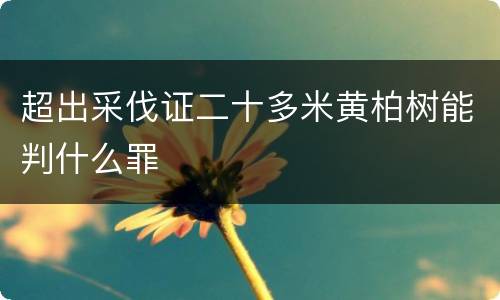 超出采伐证二十多米黄柏树能判什么罪