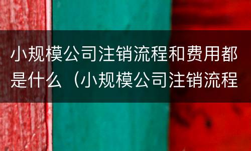 小规模公司注销流程和费用都是什么（小规模公司注销流程和费用都是什么流程）
