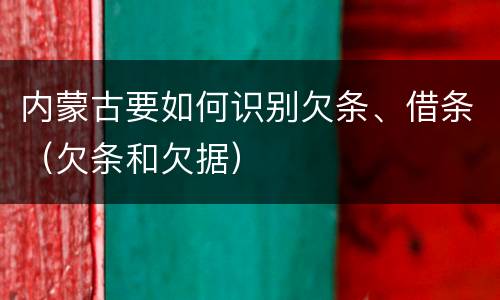 内蒙古要如何识别欠条、借条（欠条和欠据）