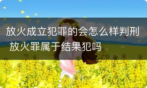 放火成立犯罪的会怎么样判刑 放火罪属于结果犯吗