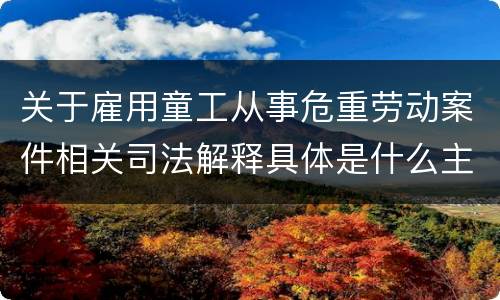 关于雇用童工从事危重劳动案件相关司法解释具体是什么主要规定