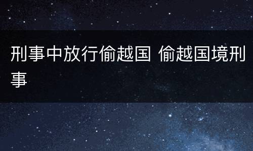 刑事中放行偷越国 偷越国境刑事