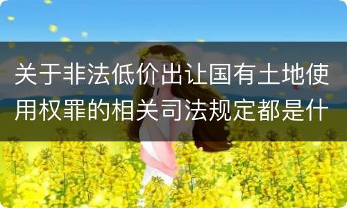 关于非法低价出让国有土地使用权罪的相关司法规定都是什么