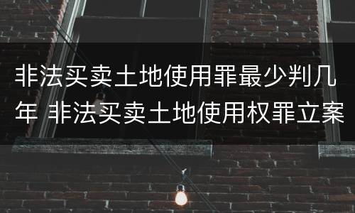 非法买卖土地使用罪最少判几年 非法买卖土地使用权罪立案标准