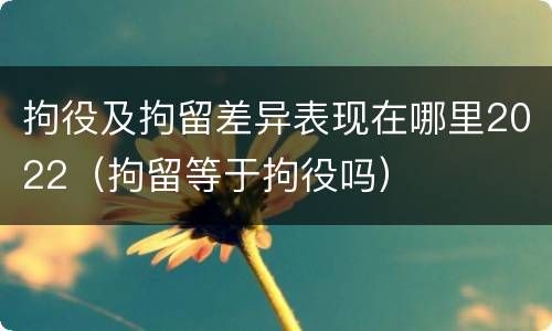 拘役及拘留差异表现在哪里2022（拘留等于拘役吗）