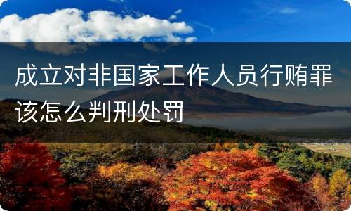 成立对非国家工作人员行贿罪该怎么判刑处罚