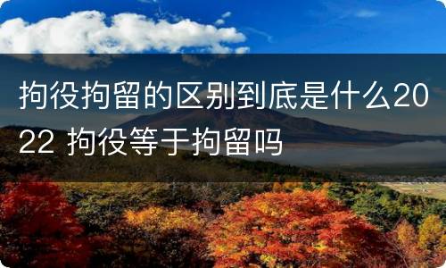 拘役拘留的区别到底是什么2022 拘役等于拘留吗