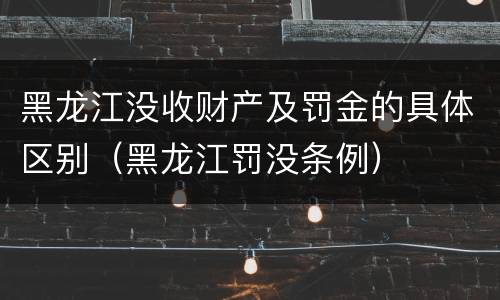 黑龙江没收财产及罚金的具体区别（黑龙江罚没条例）