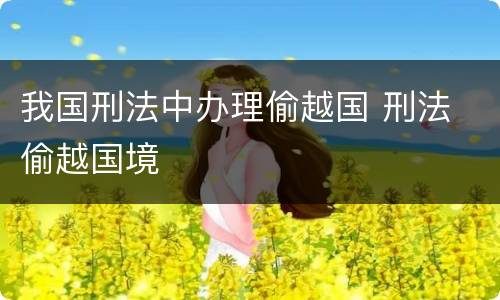 我国刑法中办理偷越国 刑法 偷越国境
