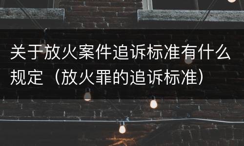 关于放火案件追诉标准有什么规定（放火罪的追诉标准）