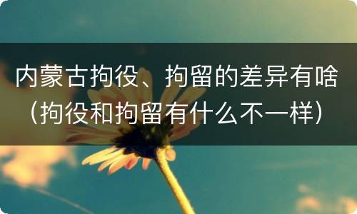 内蒙古拘役、拘留的差异有啥（拘役和拘留有什么不一样）