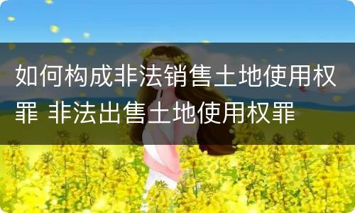 如何构成非法销售土地使用权罪 非法出售土地使用权罪