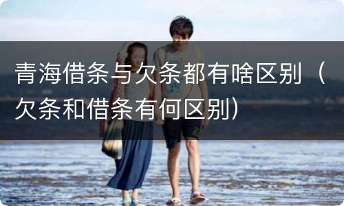 青海借条与欠条都有啥区别（欠条和借条有何区别）