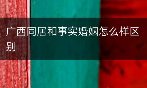 广西同居和事实婚姻怎么样区别