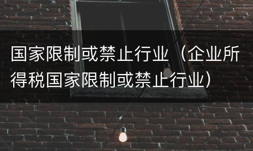 国家限制或禁止行业（企业所得税国家限制或禁止行业）