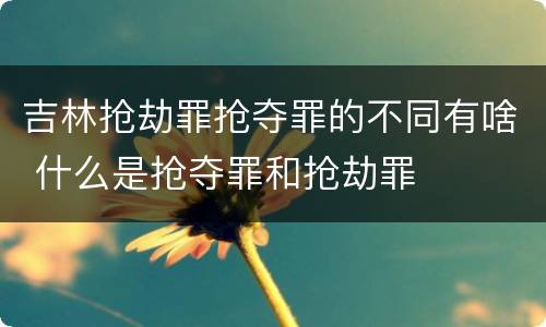 吉林抢劫罪抢夺罪的不同有啥 什么是抢夺罪和抢劫罪