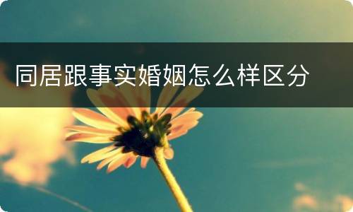 同居跟事实婚姻怎么样区分