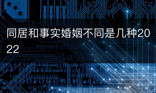 同居和事实婚姻不同是几种2022
