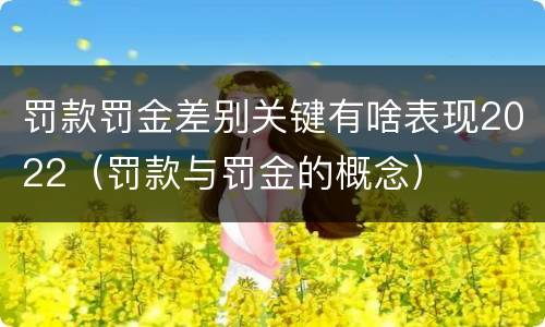 罚款罚金差别关键有啥表现2022（罚款与罚金的概念）