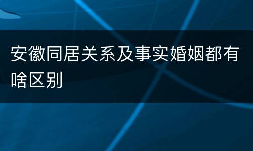 安徽同居关系及事实婚姻都有啥区别