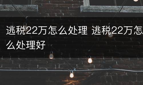 逃税22万怎么处理 逃税22万怎么处理好