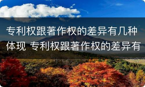 专利权跟著作权的差异有几种体现 专利权跟著作权的差异有几种体现方式