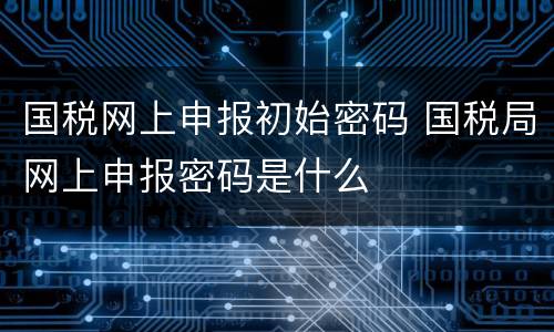 国税网上申报初始密码 国税局网上申报密码是什么