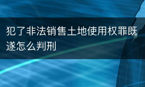 犯了非法销售土地使用权罪既遂怎么判刑