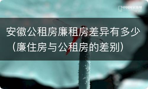 安徽公租房廉租房差异有多少（廉住房与公租房的差别）