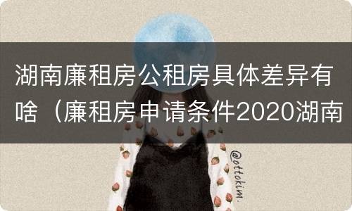 湖南廉租房公租房具体差异有啥（廉租房申请条件2020湖南）
