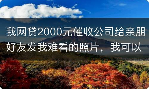 我网贷2000元催收公司给亲朋好友发我难看的照片，我可以维护吗