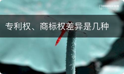 专利权、商标权差异是几种