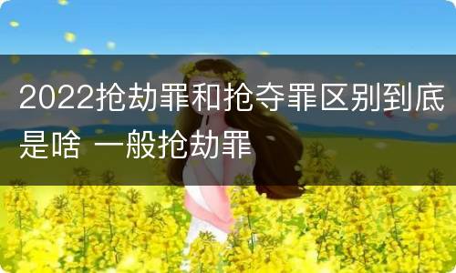 2022抢劫罪和抢夺罪区别到底是啥 一般抢劫罪