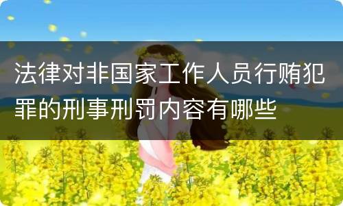 法律对非国家工作人员行贿犯罪的刑事刑罚内容有哪些