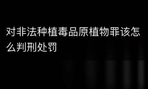 对非法种植毒品原植物罪该怎么判刑处罚