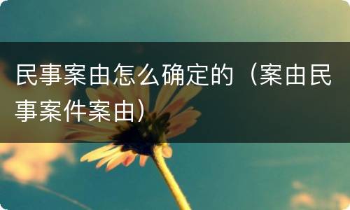 民事案由怎么确定的（案由民事案件案由）