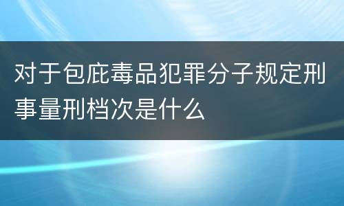 对于包庇毒品犯罪分子规定刑事量刑档次是什么