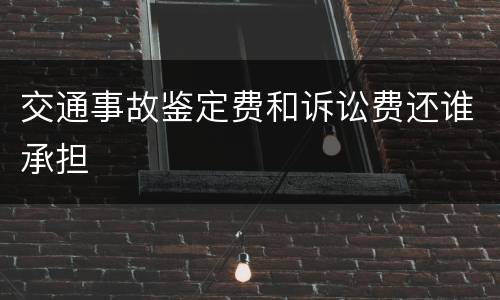 交通事故鉴定费和诉讼费还谁承担