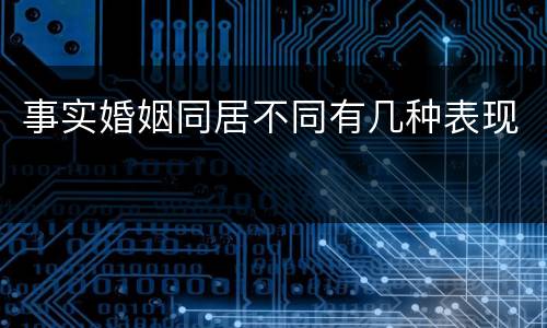 事实婚姻同居不同有几种表现