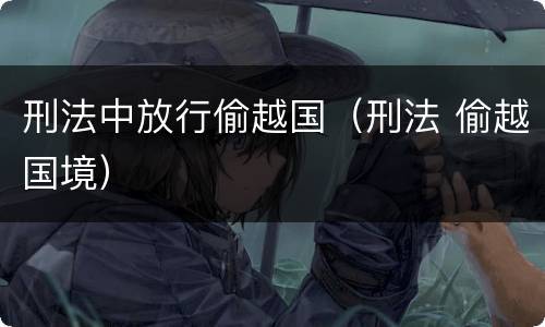 刑法中放行偷越国（刑法 偷越国境）
